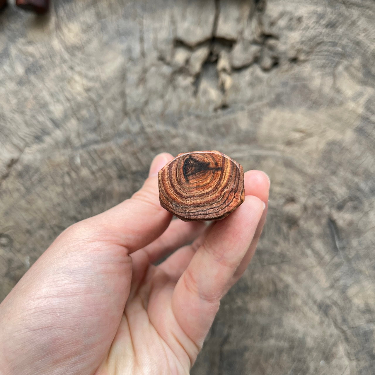 I - Speical Jungle Huanghuali wood Wa handle, Devil EyeMono - 145mm