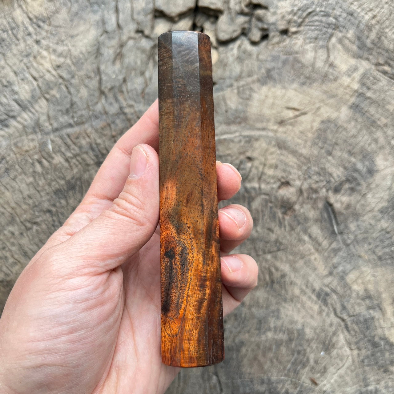 I- Big Eye Curly Siam Rosewood Wa handle, Mono - 135mm