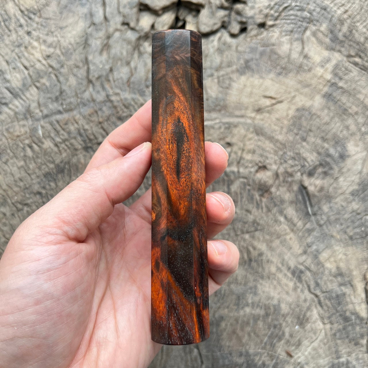 I- Big Eye Curly Siam Rosewood Wa handle, Mono - 135mm