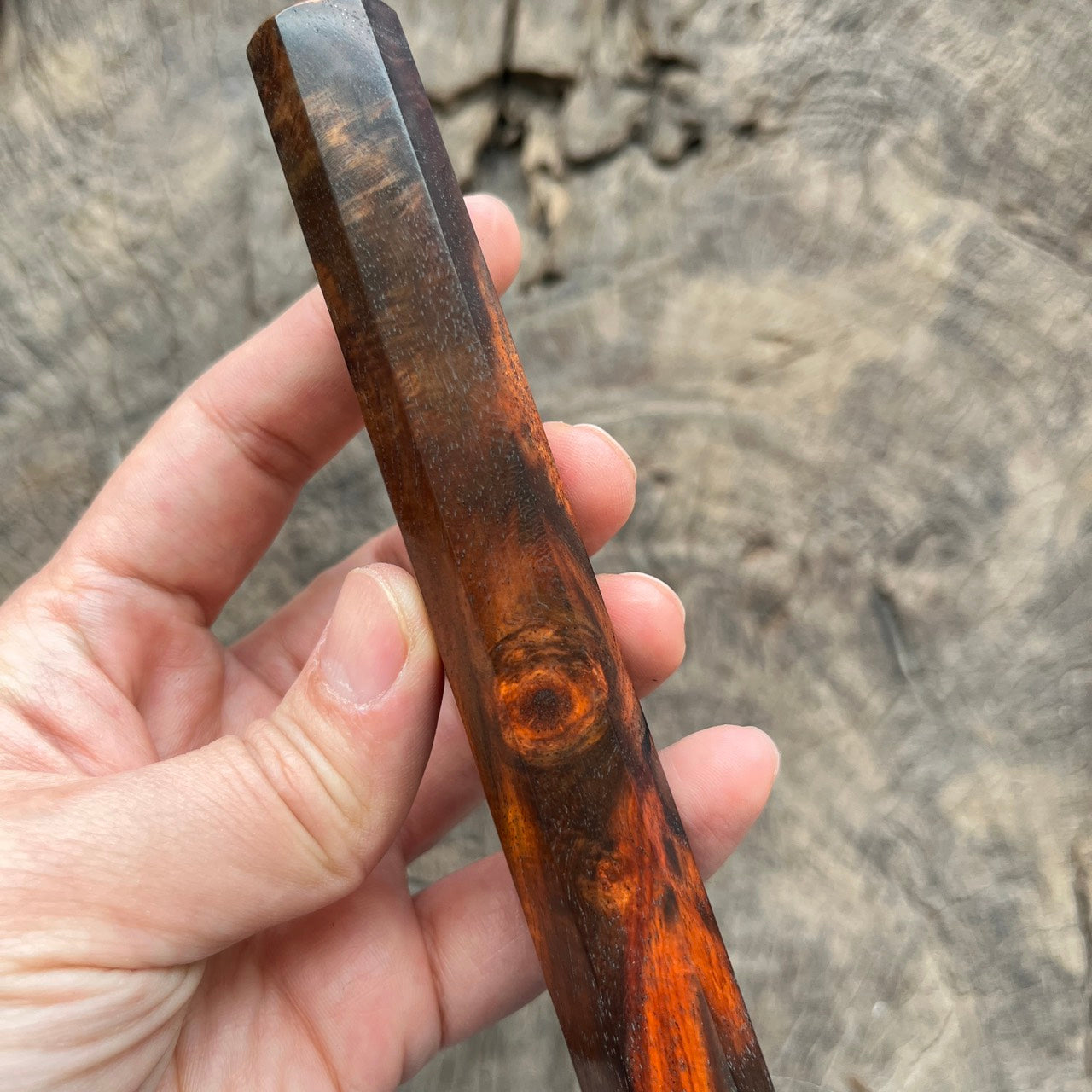 I- Big Eye Curly Siam Rosewood Wa handle, Mono - 135mm