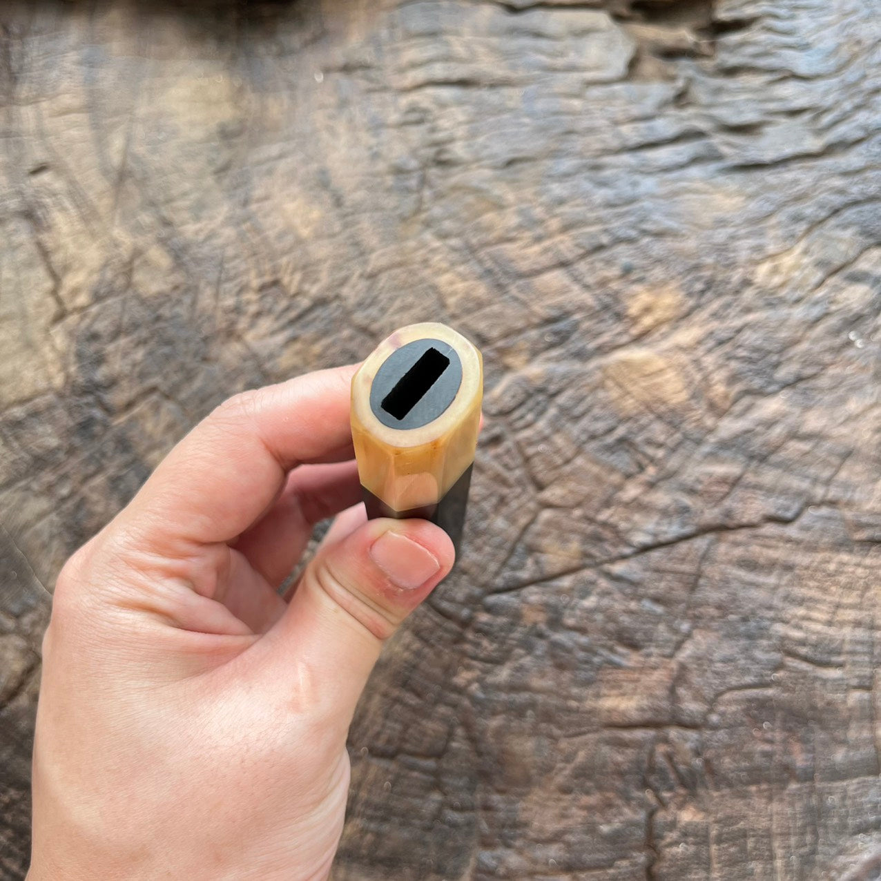 I- Ebony Wa handle with white horn ferrule- 145mm