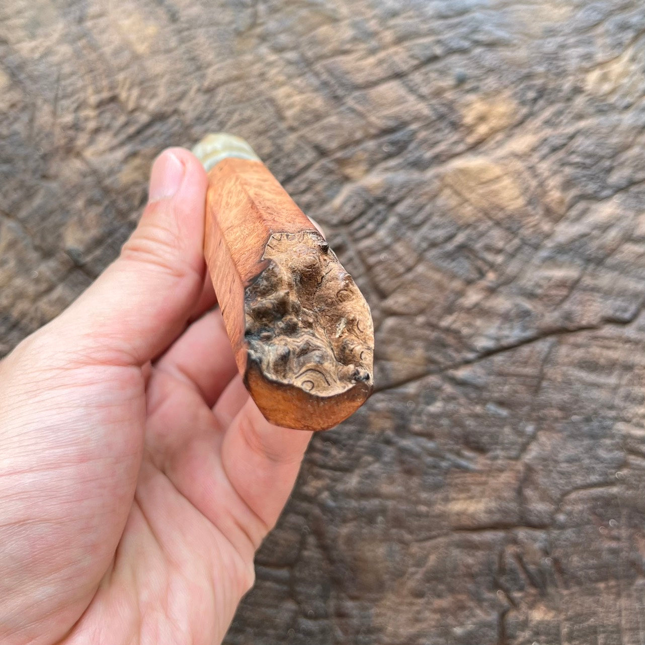 I- Burl Afzelia wa handle with marble horn ferrule and natural end cap - 135mm