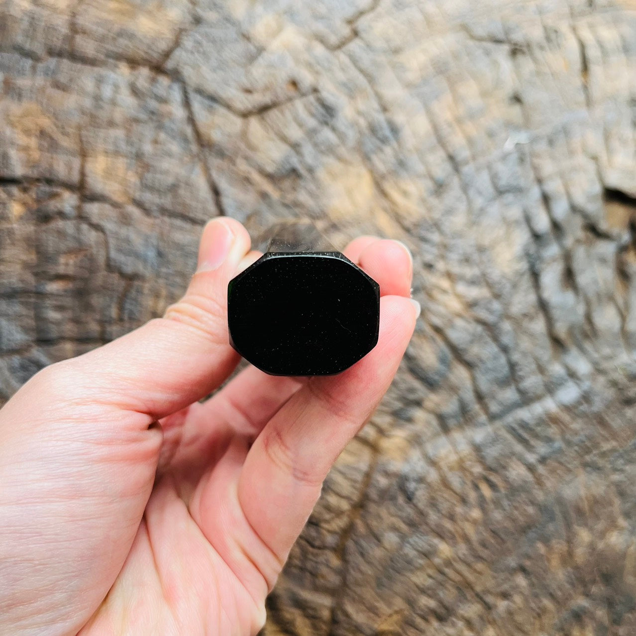 I- 2 Black Siamese Rosewood Wa handle with white horn ferrule 145mm