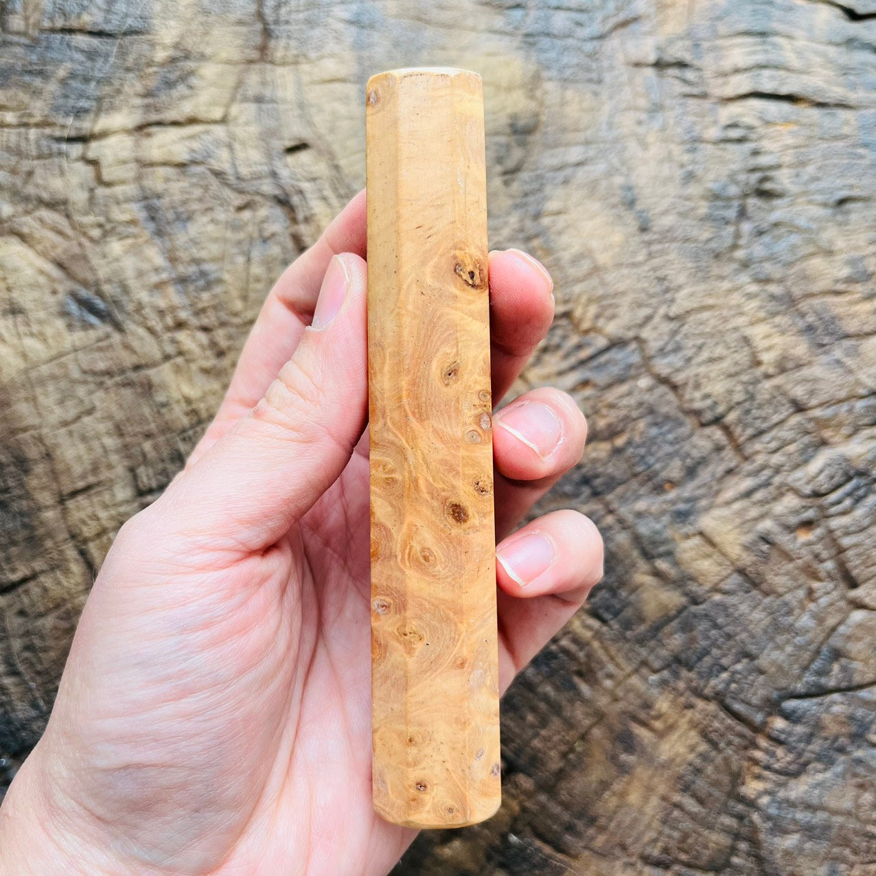 I- Mono Dragon burl Wa handle 130mm for yana 180-210, Petty