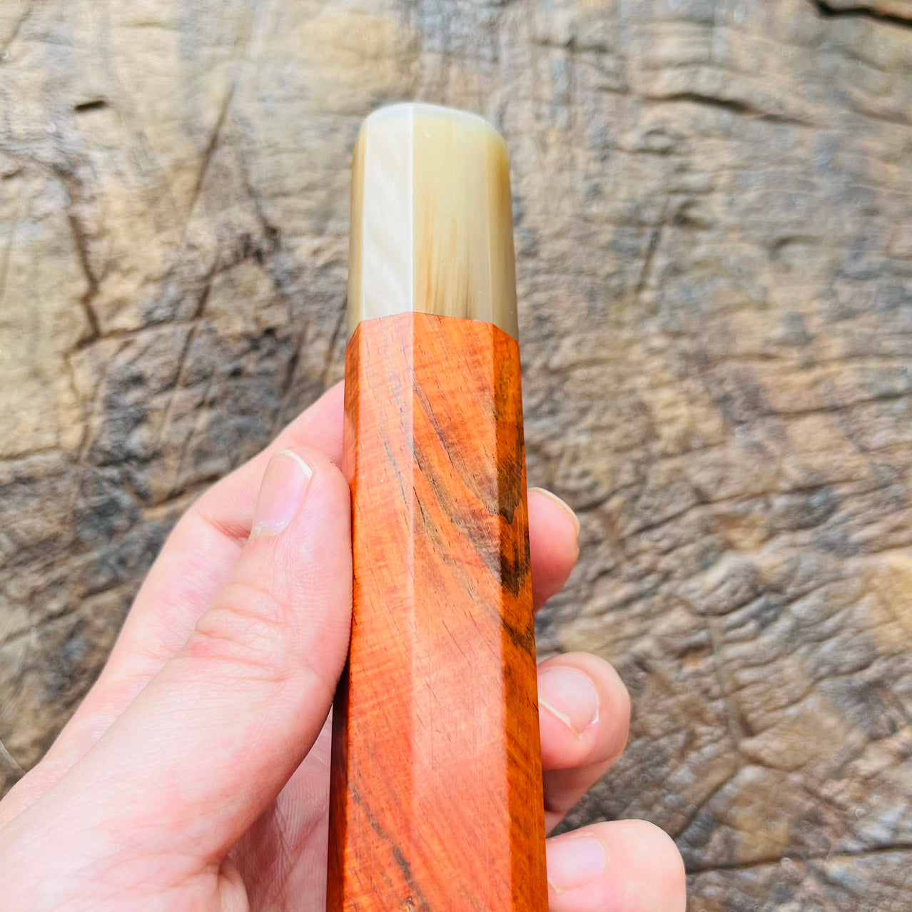 I-8 Curly Siamese Orange Rosewood Wa handle with white horn ferrule - 145mm
