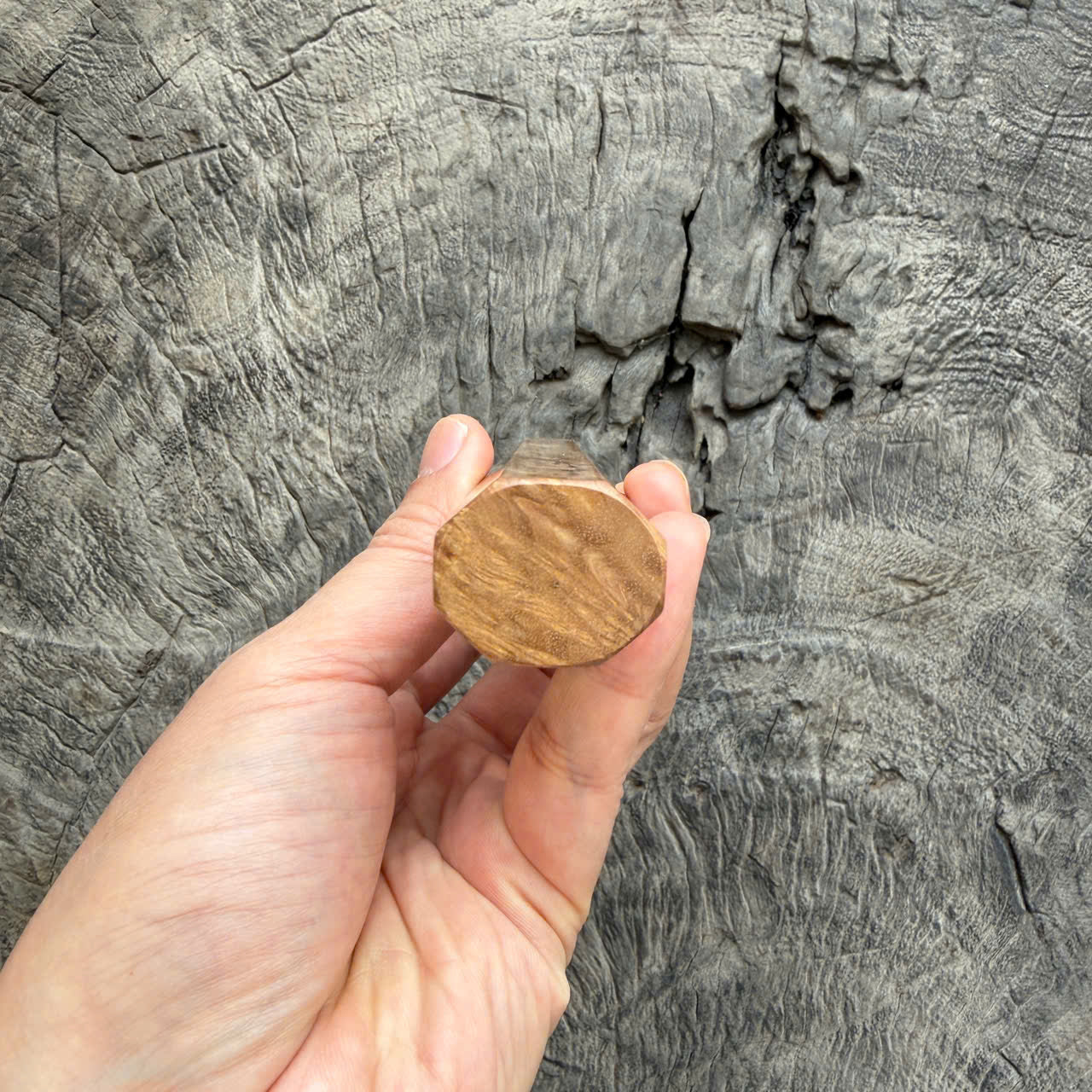 I - 2 Burl crape myrtle Wa handle, Mono - 140 mm