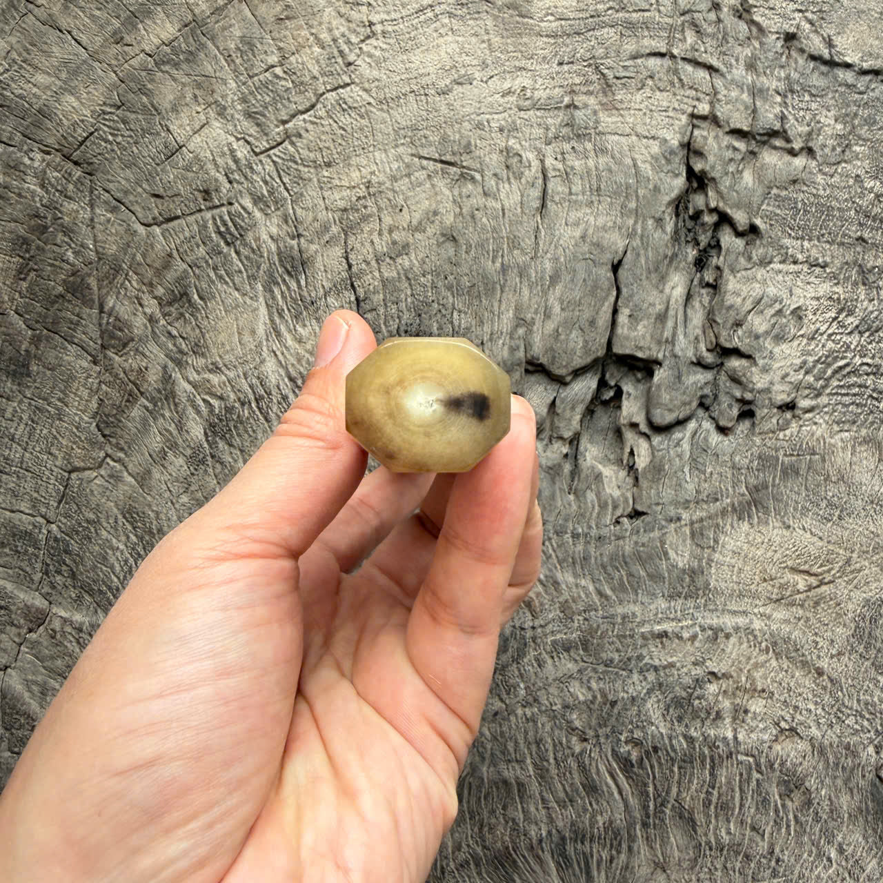 I - 26 Curly Rosewood Wa Handle, Marble horn ferrule End cap- 140mm