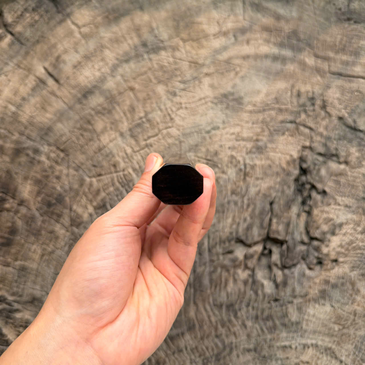 I- 13 Burl Siamese Rosewood Wa handle, Black White horn Ferrule - 135mm