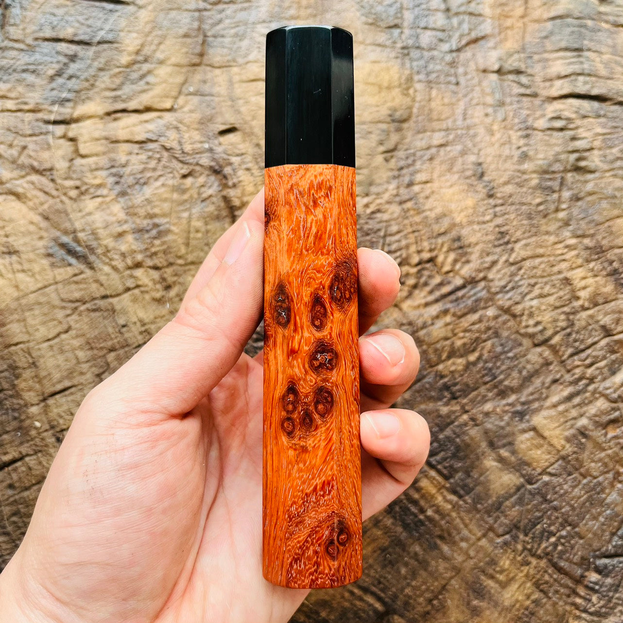 I- Dog Paw Rosewood Wa handle with black horn ferrule - 145mm