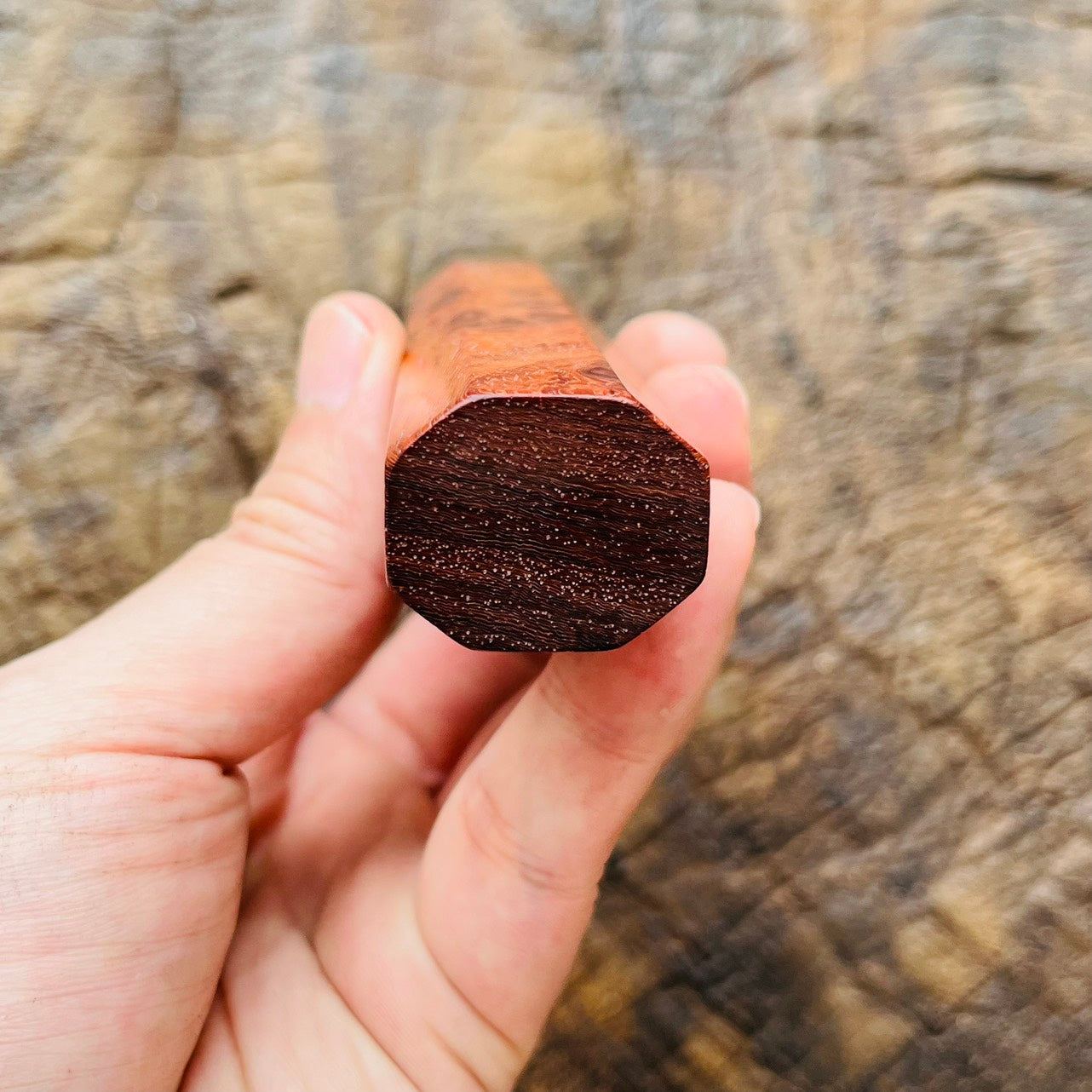 I- Dog Paw Rosewood Wa handle with black horn ferrule - 145mm