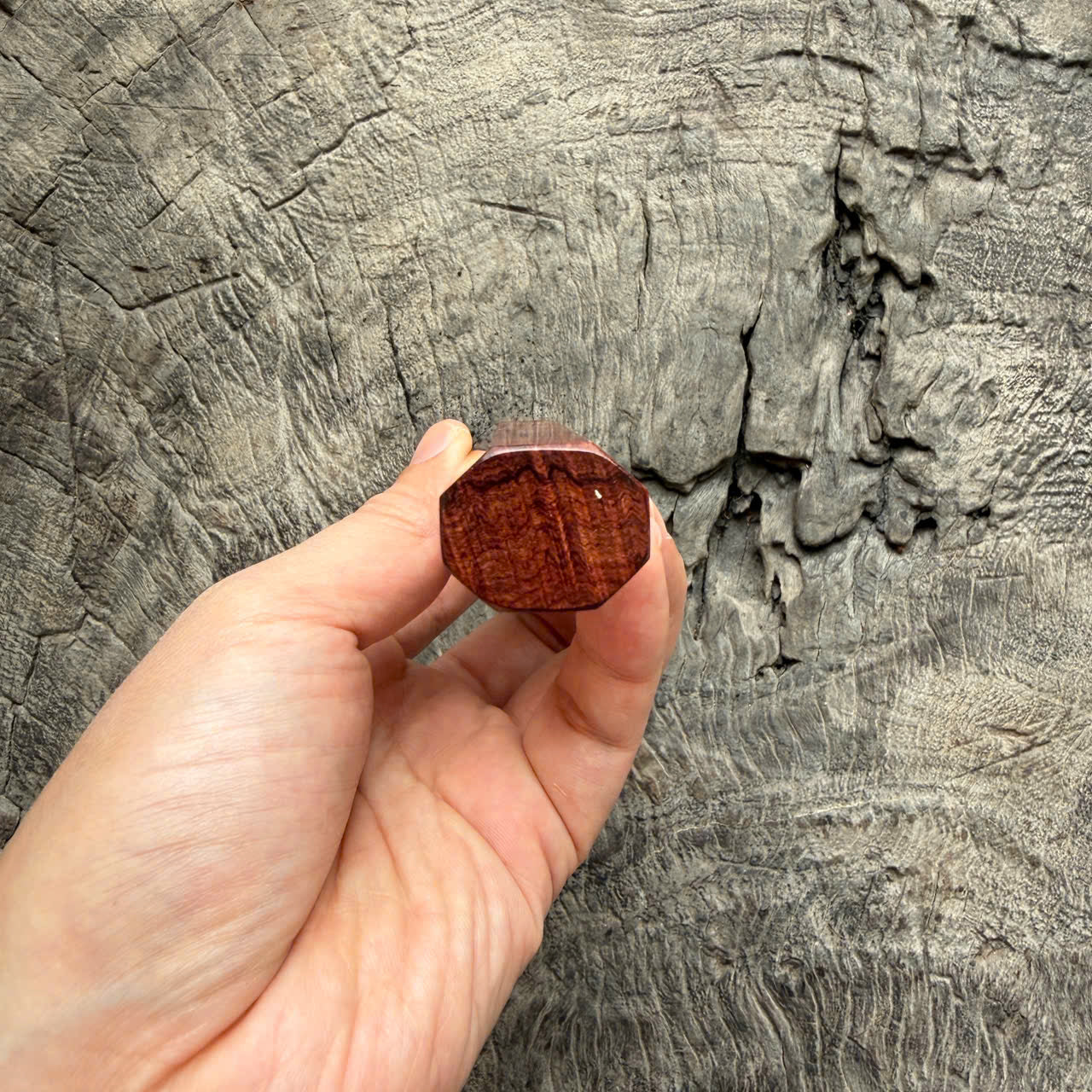 I- 4 Burl Rosewood Wa handle, Ivory horn ferrule- 135mm