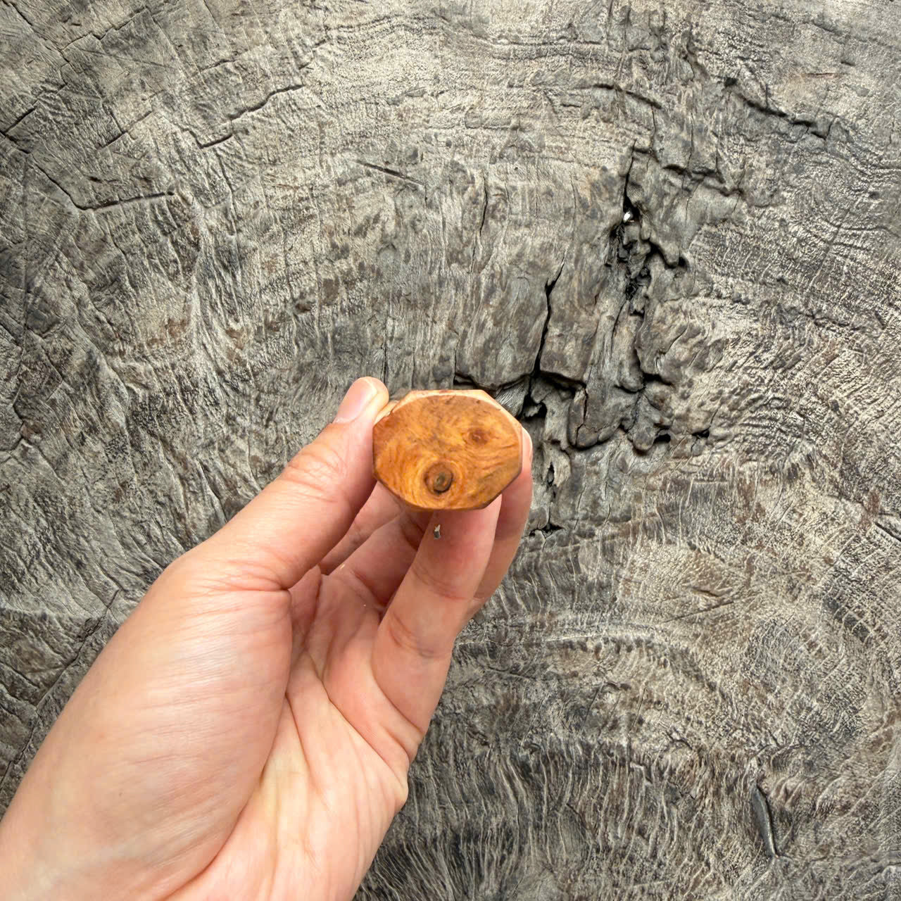 I- 16 Dragon Blood Burl Wa handle, Marble horn Ferrule - 135mm