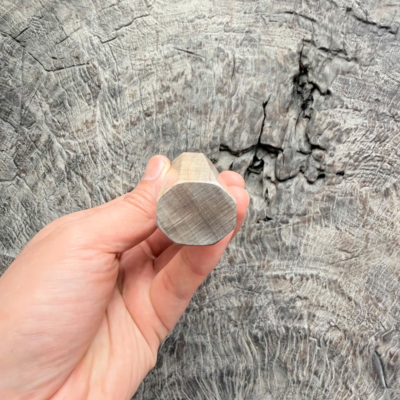 I - 3 Full Curly Mango Wa handle - black horn ferrule - 140 mm