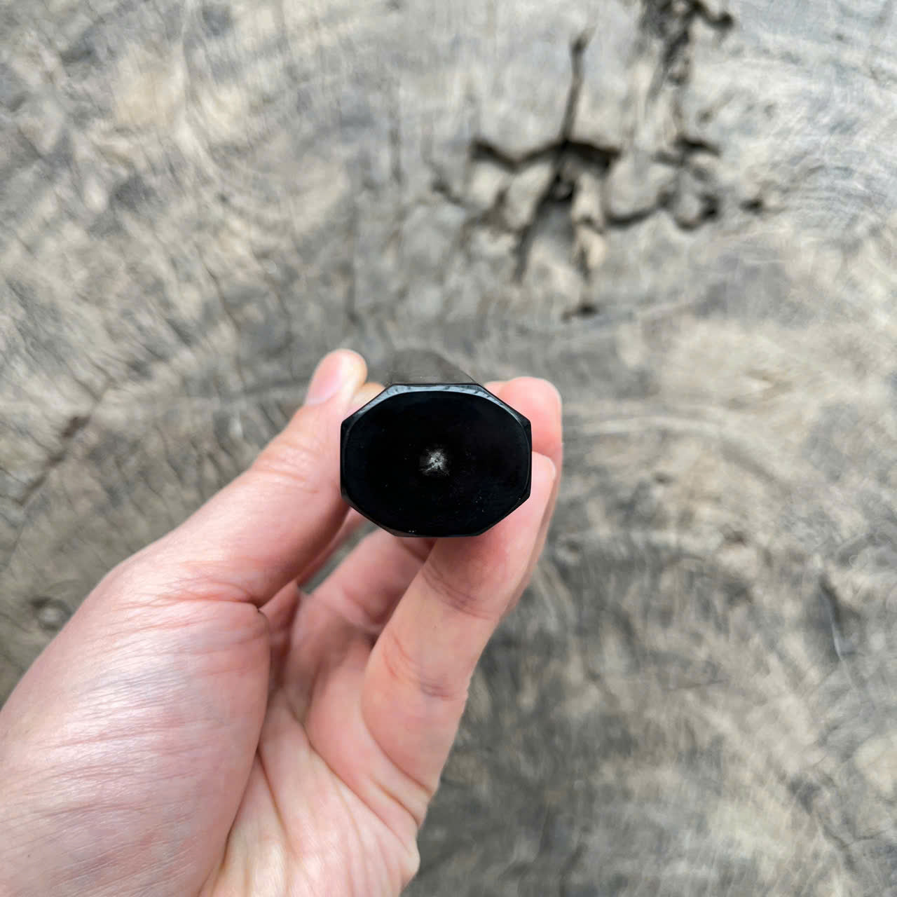 I- 6 Black curly Siam Rosewood Wa handle, Black horn ferrule and end cap - 135mm