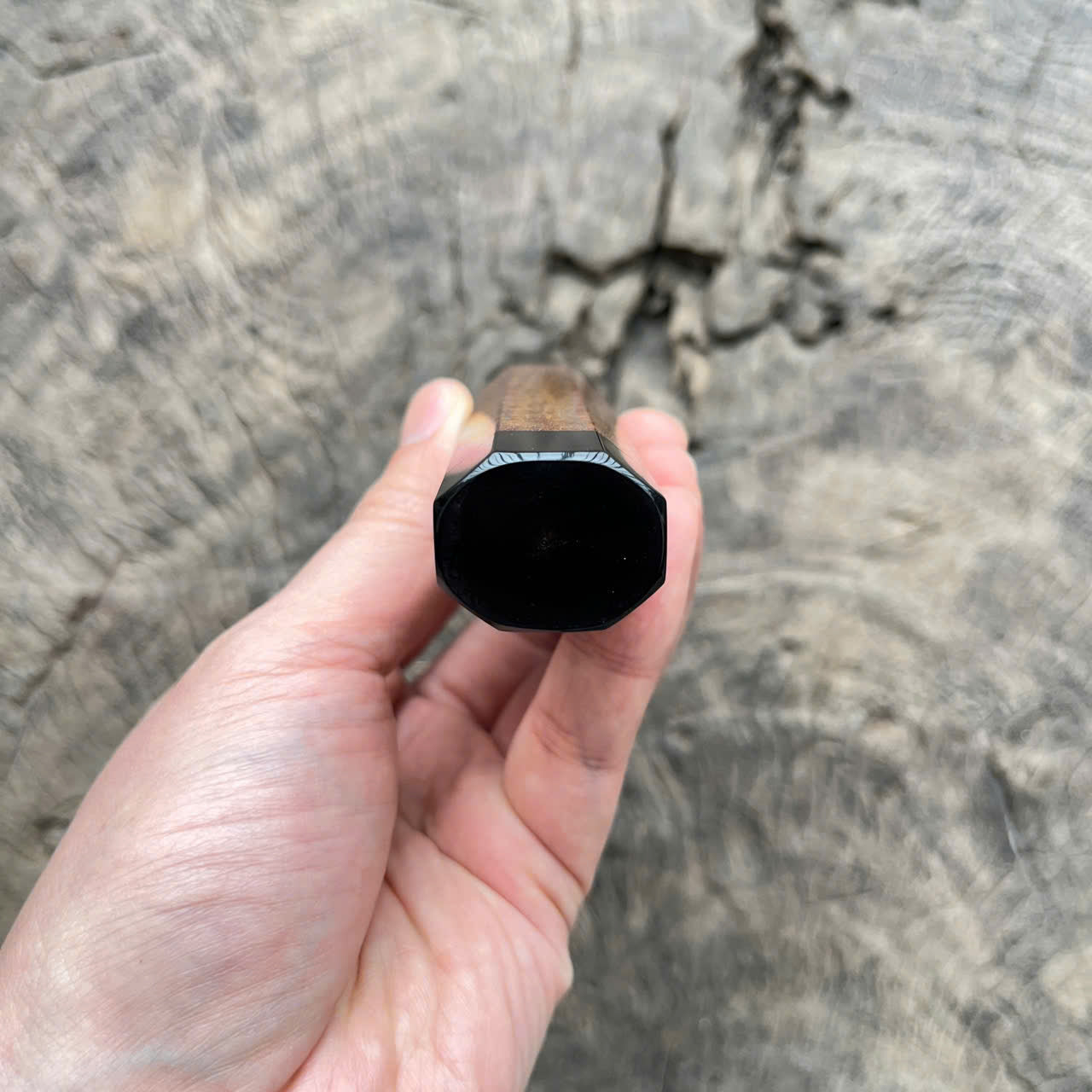 I - 7 Curly Siam Rosewood Wa handle, Black horn ferrule and end cap - 145mm