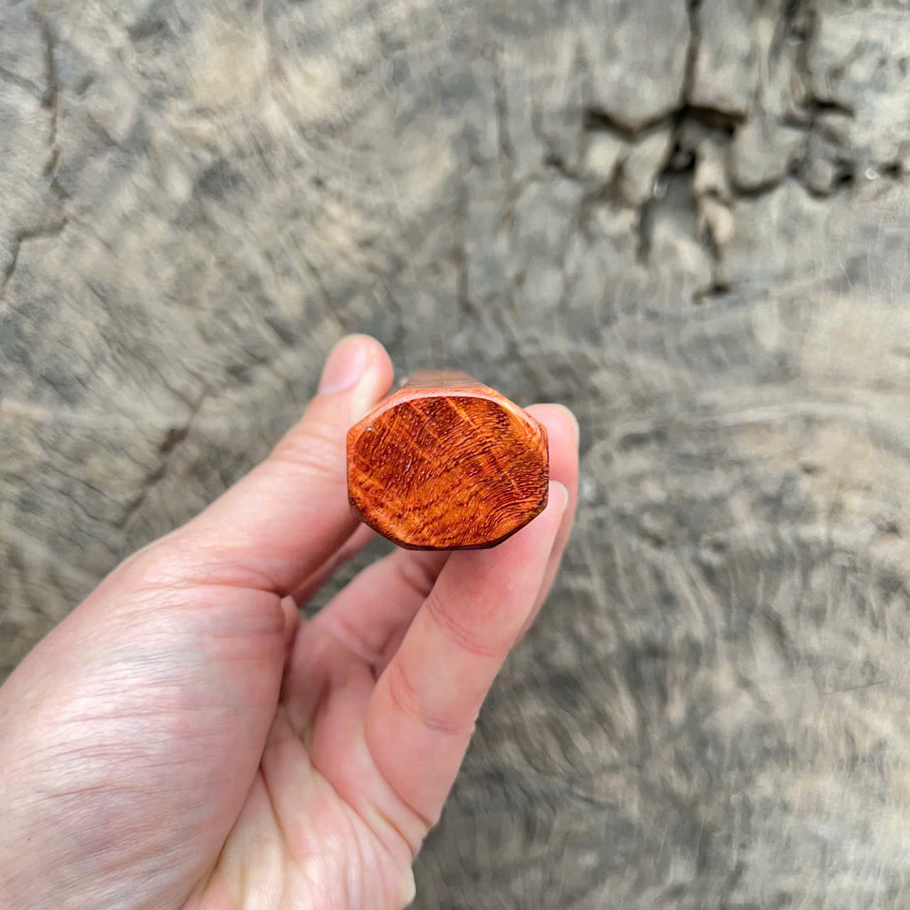 I-5 Nice Red Amboyna Burl Wa handle, Mono- 135mm