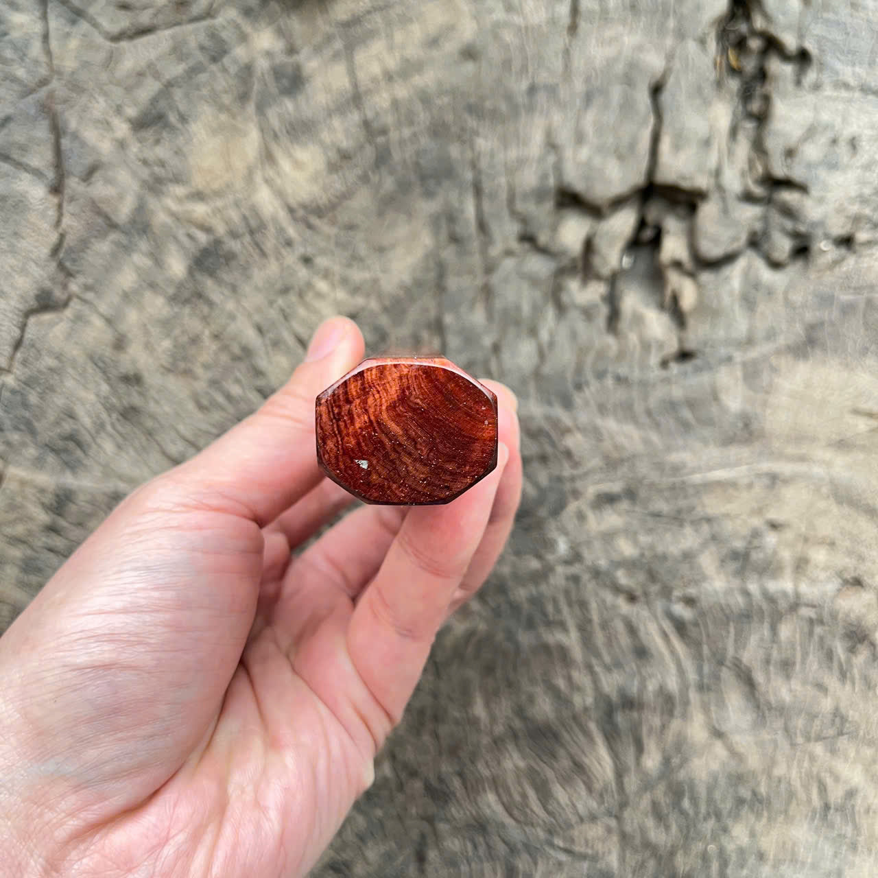 I - Rare Curly Burl Rosewood Wa handle, Mono - 145mm