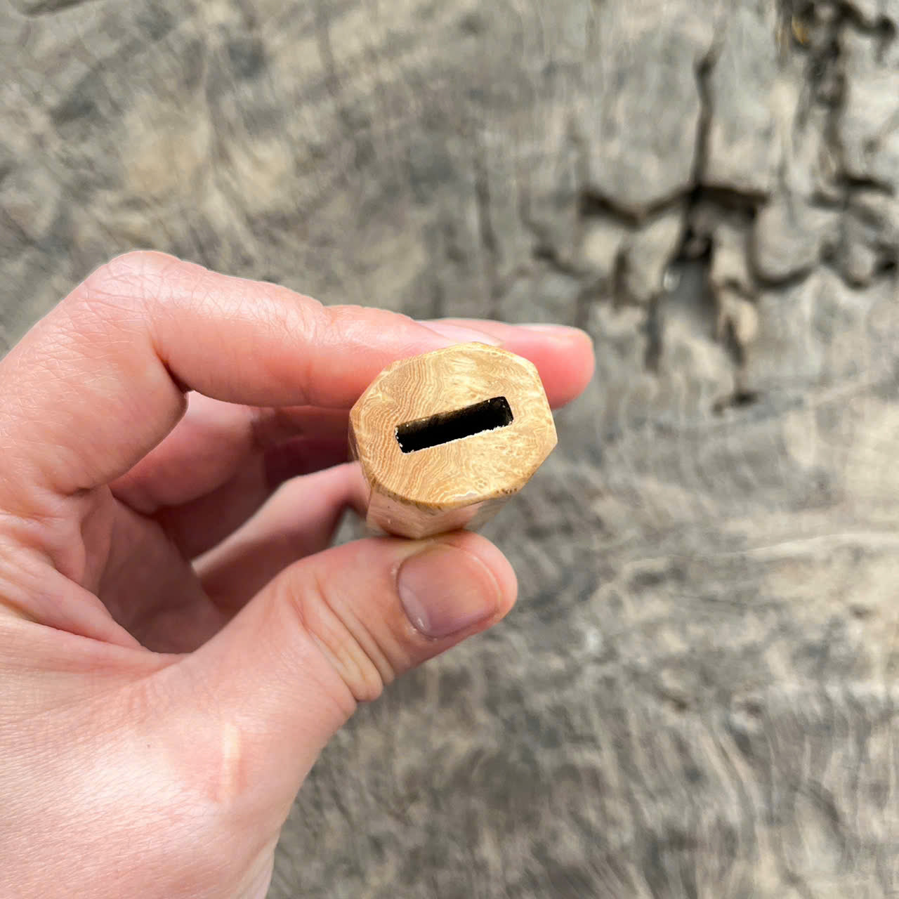 I-3 Crape myrtle burl Wa handle, Mono- 135mm