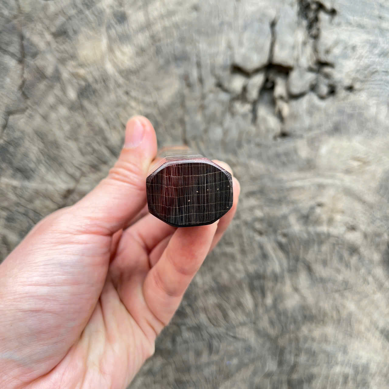 I -4 Stabilized curly wood Wa handle, Cream marble horn ferrule, black spacer, 145mm