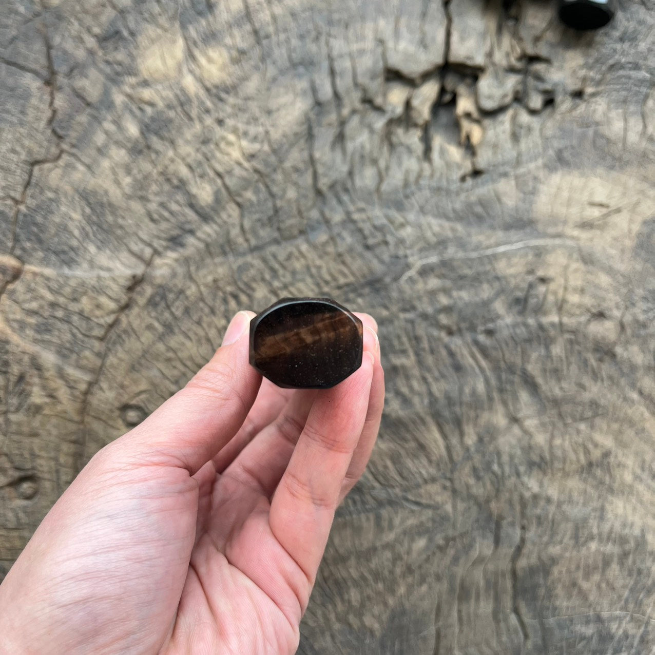 I- 3 Black curly Siam Rosewood Wa handle, Mono - 135mm
