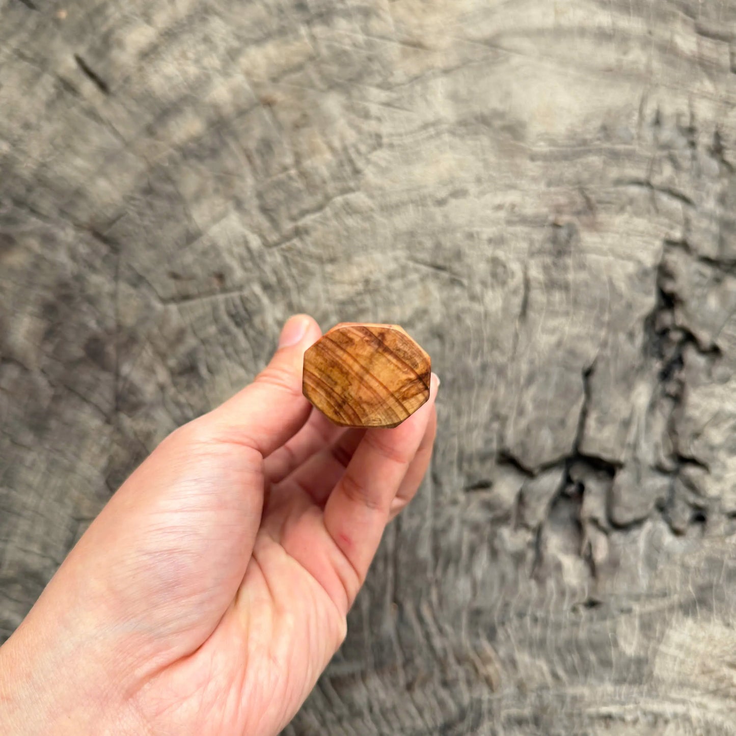 I - 10 Tamamoku Cedar Wa handle Wa handle, Black Horn ferrule - 145 mm