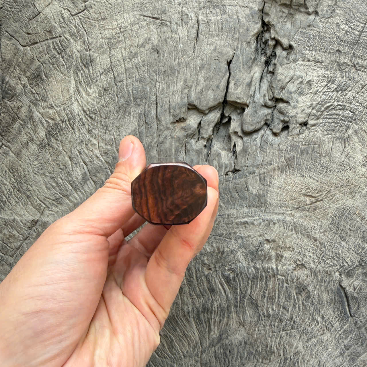 I - Honduras rosewood burl Wa handle, White horn ferrule - 145 mm