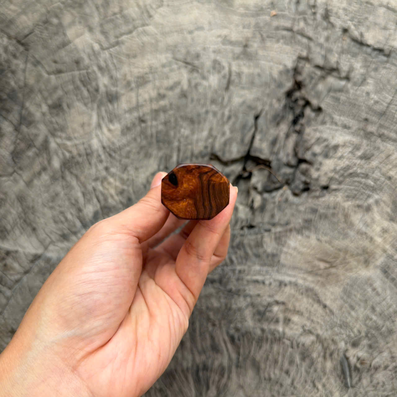 I - 2 Two tone Desert Ironwood Wa handle, Cool Horn Ferrule, 145 mm handle