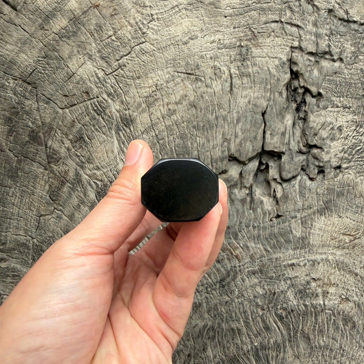 I - 29 Tight Grain Ebony Wa handle, Caramel Marble horn ferrule - 145 mm