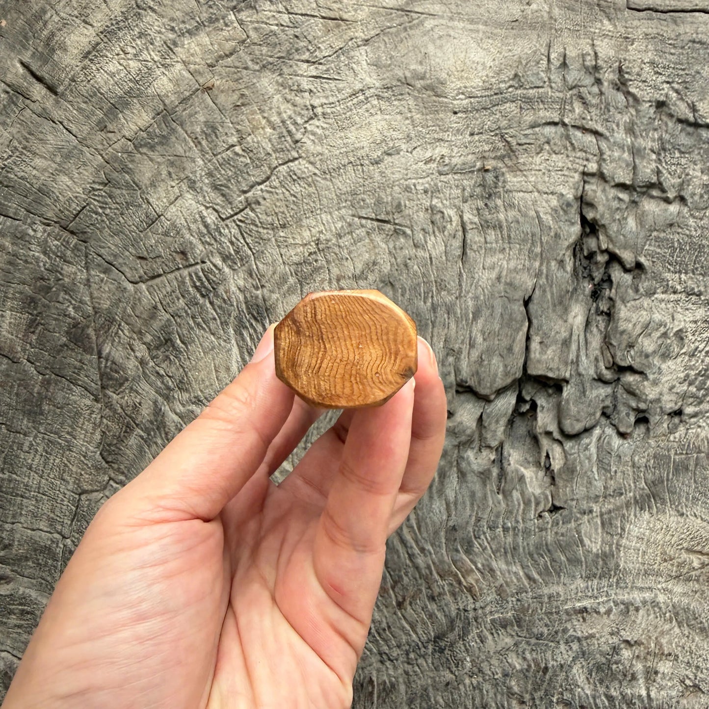 I - 6 Viet Cedar Burl Wood Wa handle, Black Horn Ferrule, Copper spacer- 145 mm