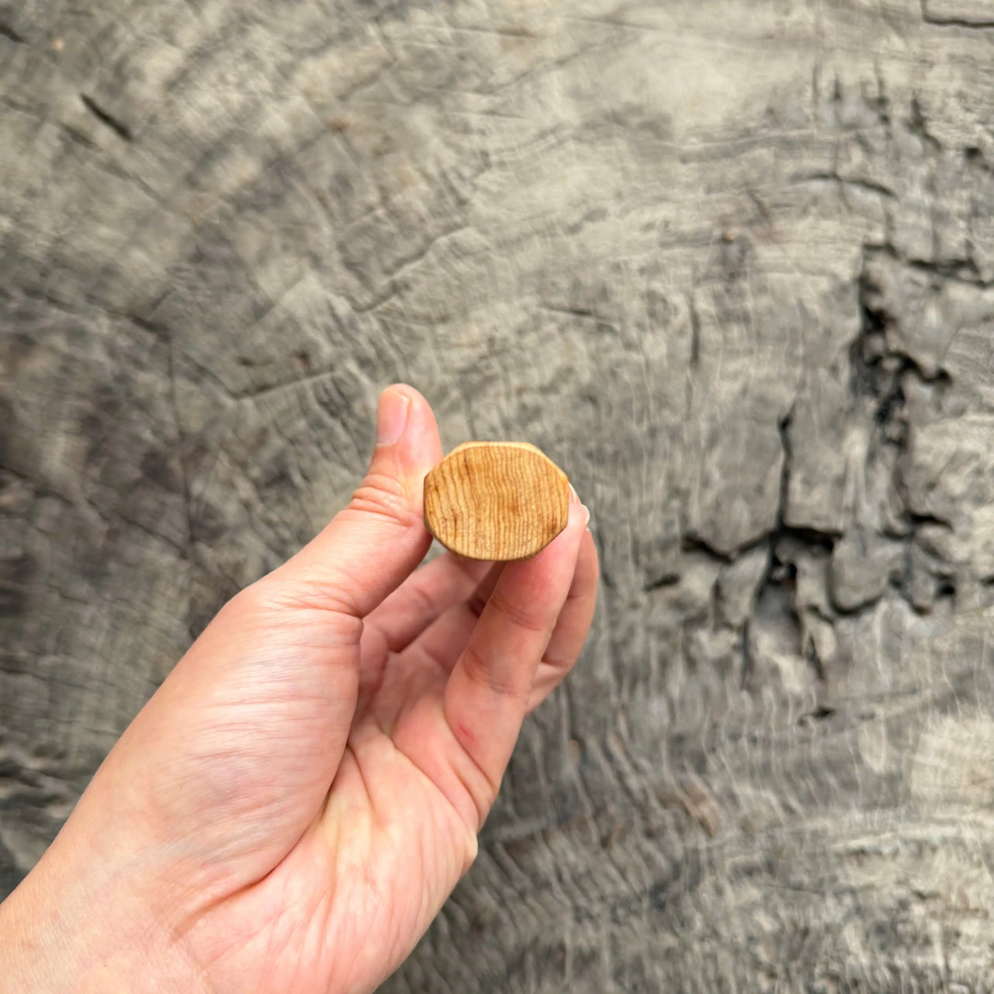 I- 7 Viet Cedar Burl Wood Wa handle, Black Horn Ferrule, Copper spacer- 135mm