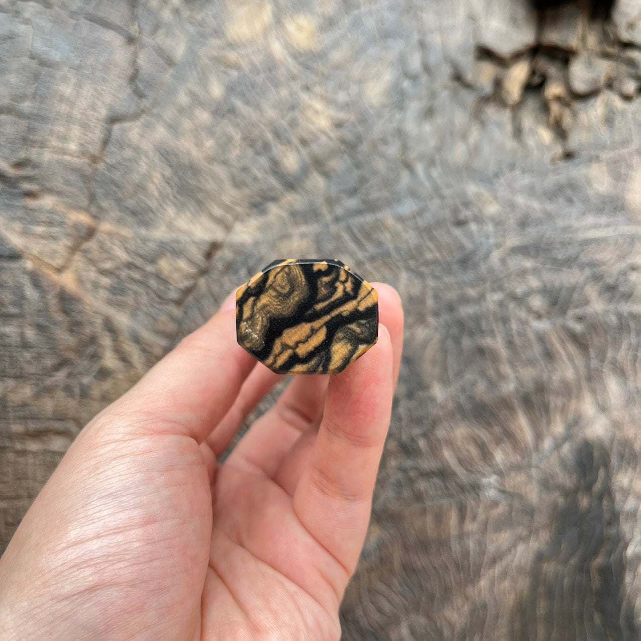 I - 2 Black white Ebony Wa handle with white horn - 140mm