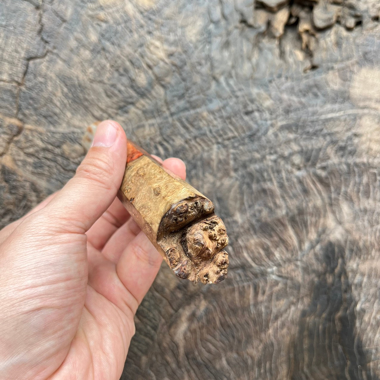 I -2 Live Edge Amboyna burl Wa handle with marble horn and black G10 spacer - 145mm
