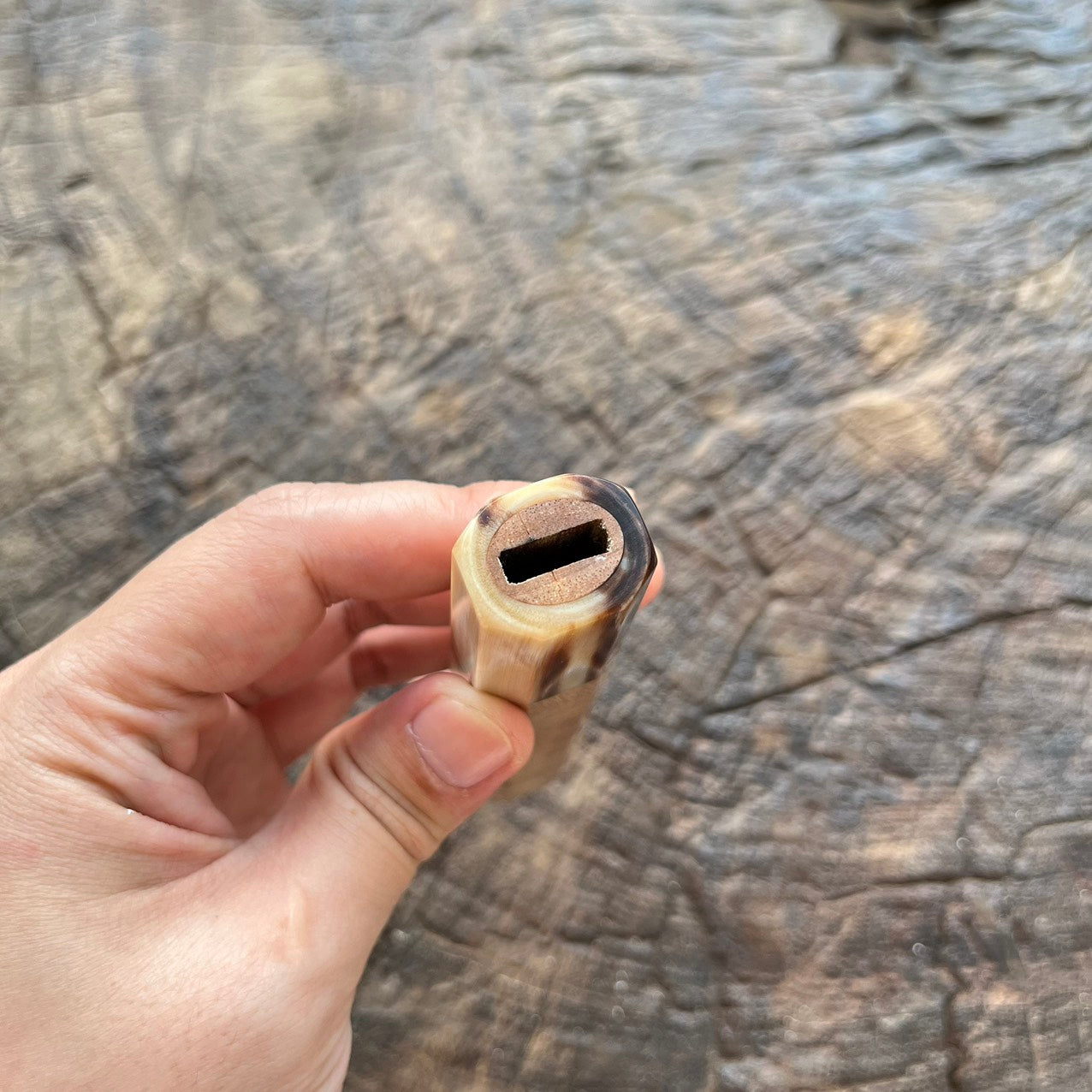 I- Fokienia Wa handle with white horn ferrule 145mm