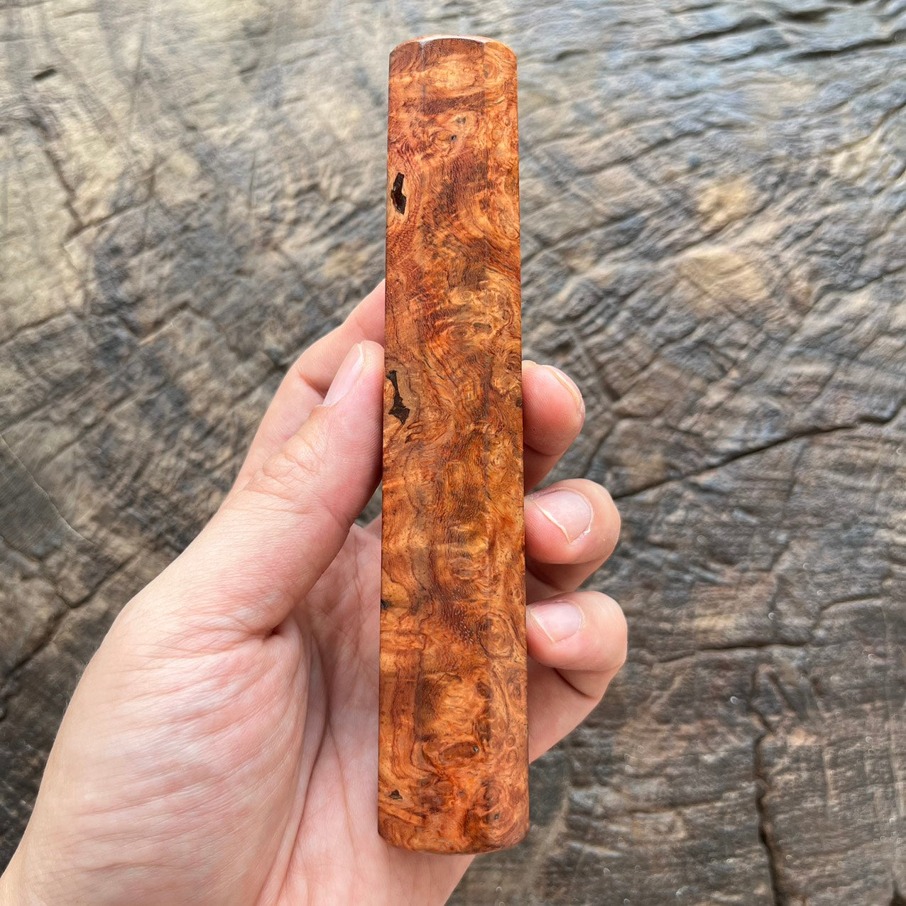 I- 9 Mono Gold Amboyna Burl Wa handle - 140mm