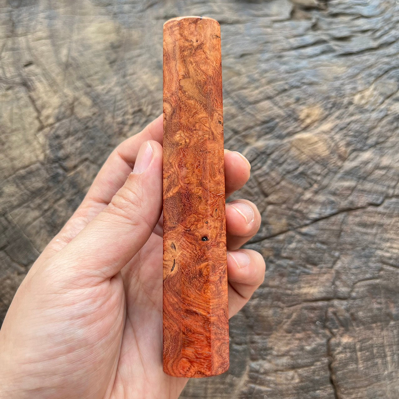 I- 11 Mono Burl Amboyna Wa handle - 135mm