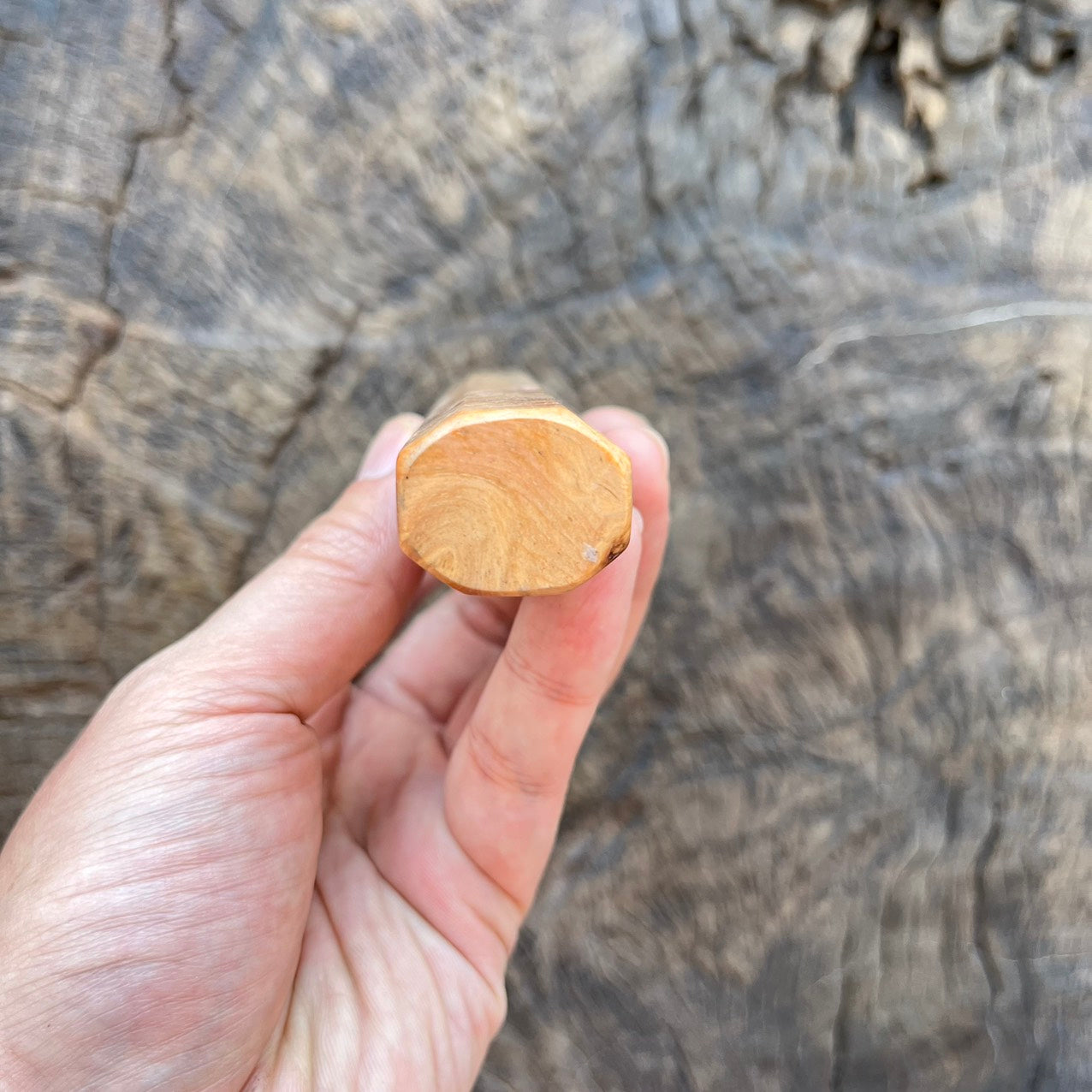 I- 2 Mono Dragon burl Wa handle - 135mm