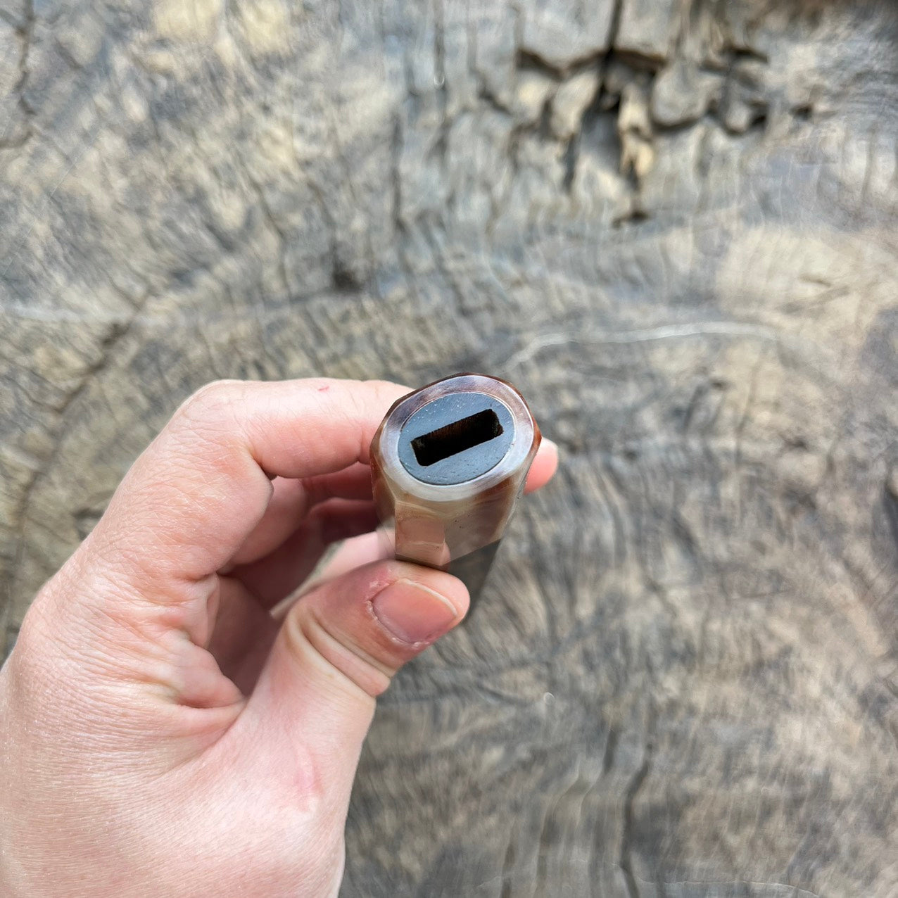 I - 3 Curly Dark Siam Rosewood burl Wa handle with marble horn and endcap- 140mm
