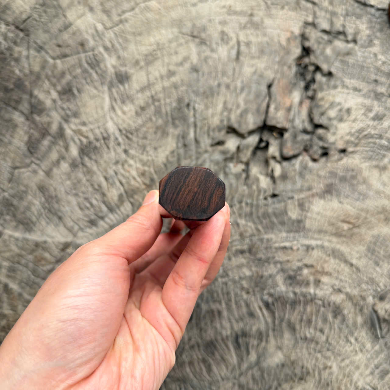 I -4 Desert ironwood Wa handle, Mono Handle, 145 mm handle