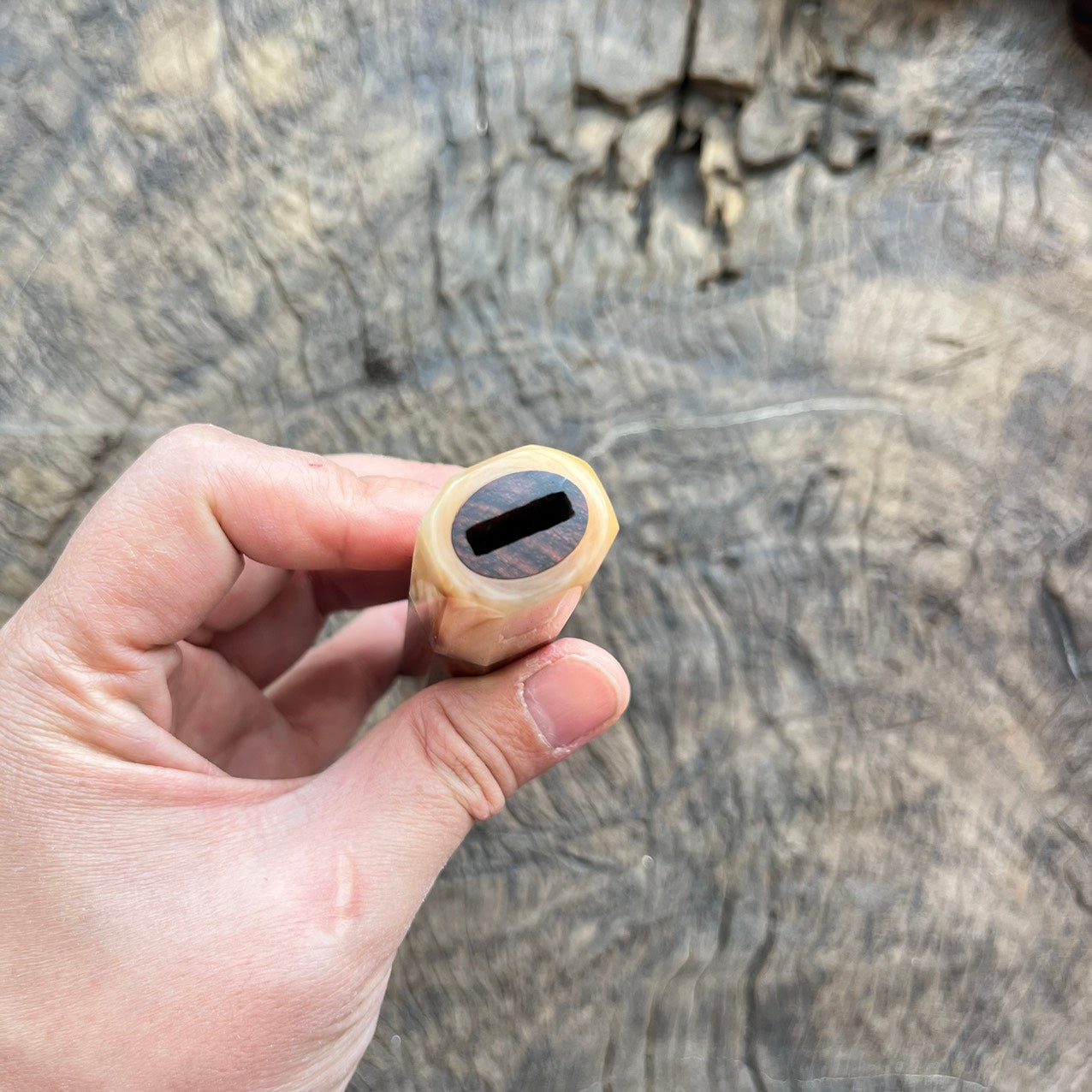 I - 5 Rare Siam Rosewood Wa handle with ivory horn - 140mm