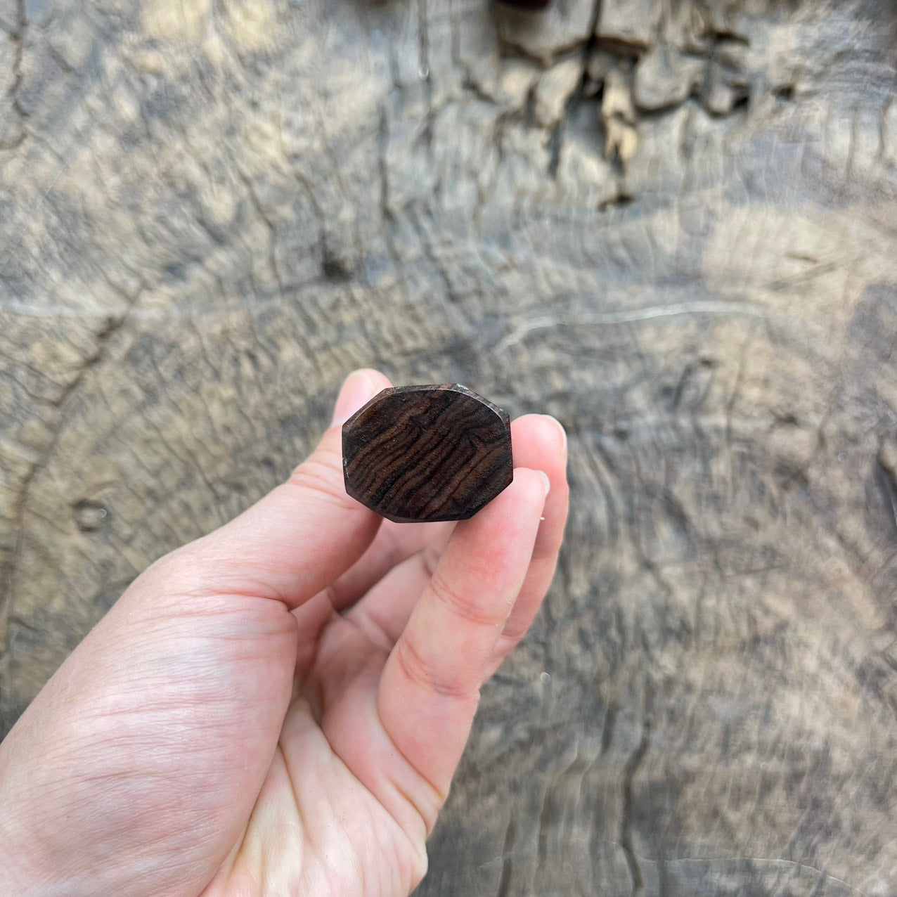 I- 5 Ebony Wa handle with white black horn ferrule - 135mm