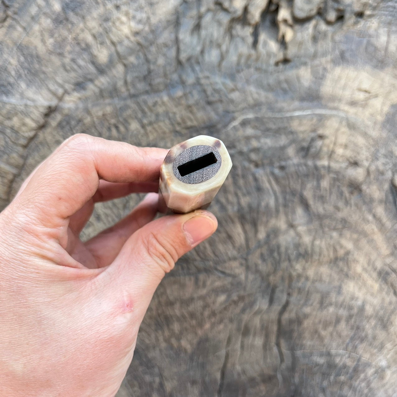 I -Ringed gidgee Wa handle with Ivory horn- 145mm