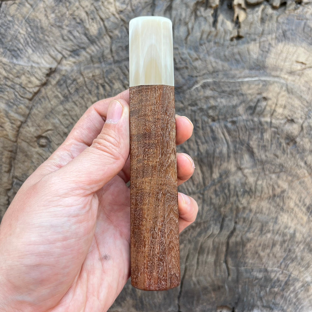 I -Ringed gidgee Wa handle with Ivory horn- 145mm