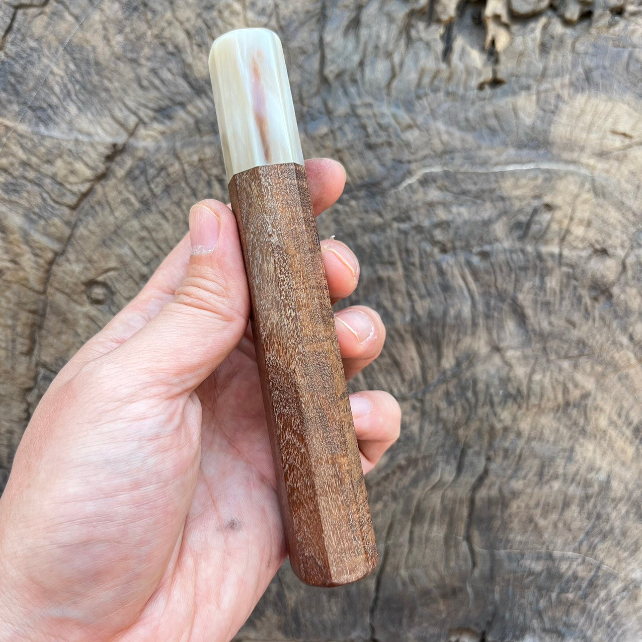 I -Ringed gidgee Wa handle with Ivory horn- 145mm
