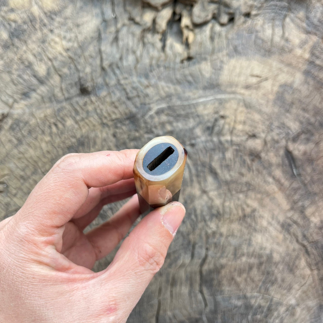 I- 5 Purple curly Rosewood Wa handle with black horn ferrule - 135mm