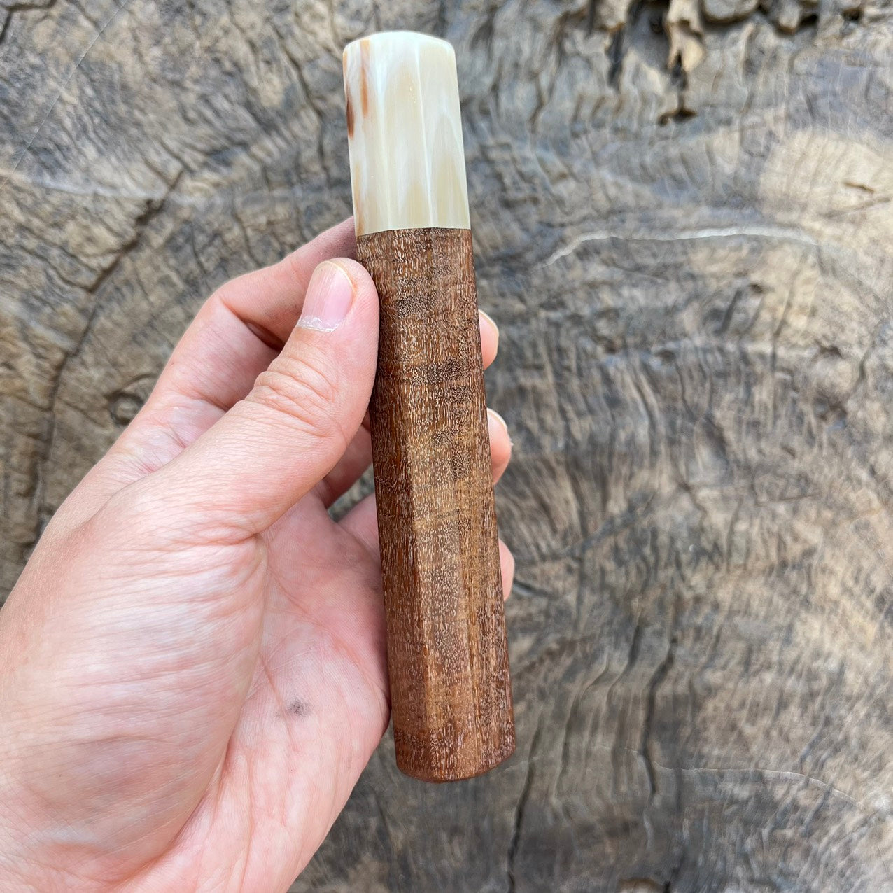 I -Ringed gidgee Wa handle with Ivory horn- 145mm