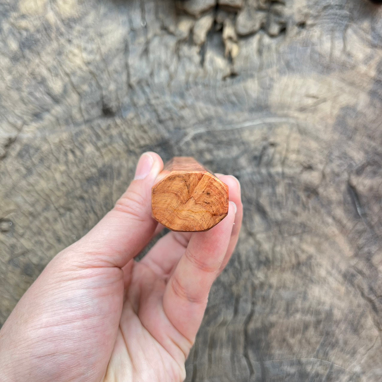 I-6 Amboyna burl Wa handle with black ferrule - 135mm