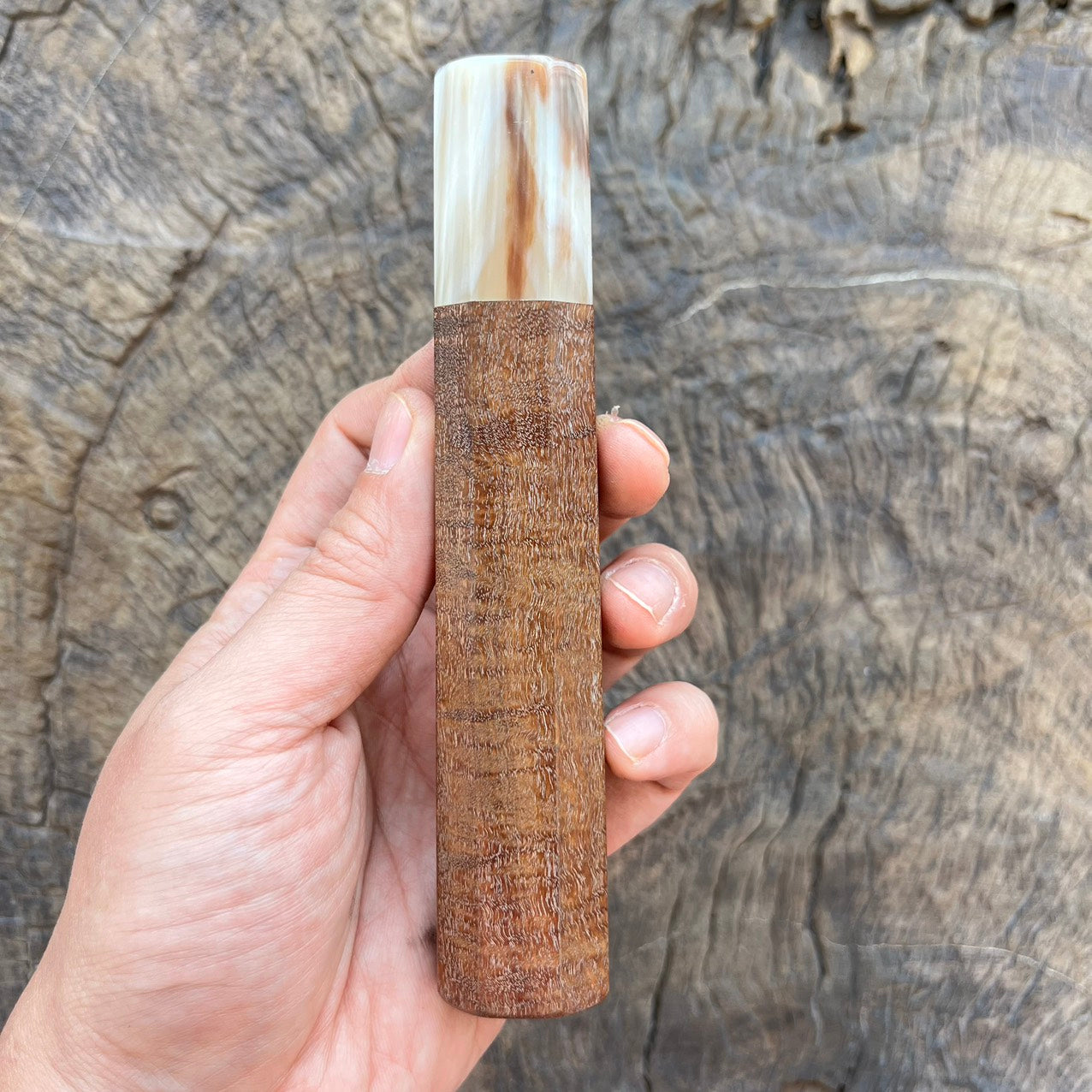 I -Ringed gidgee Wa handle with Ivory horn- 145mm