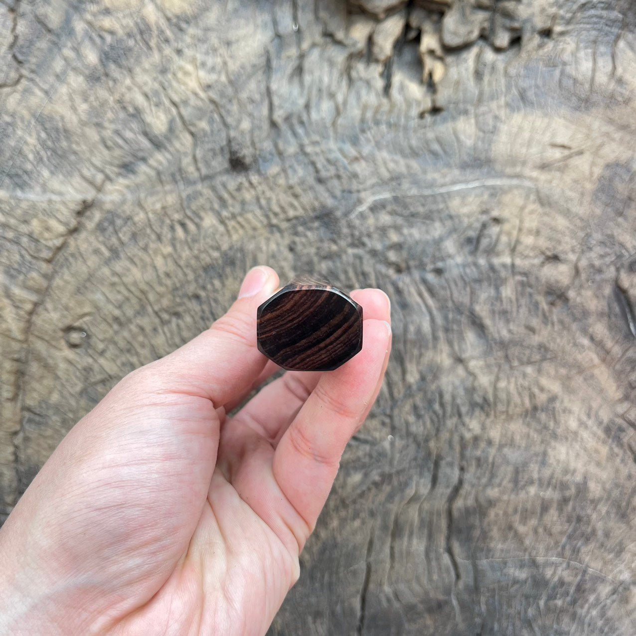 I- 3 Cross grain Ebony Wa handle with black horn ferrule - 135mm