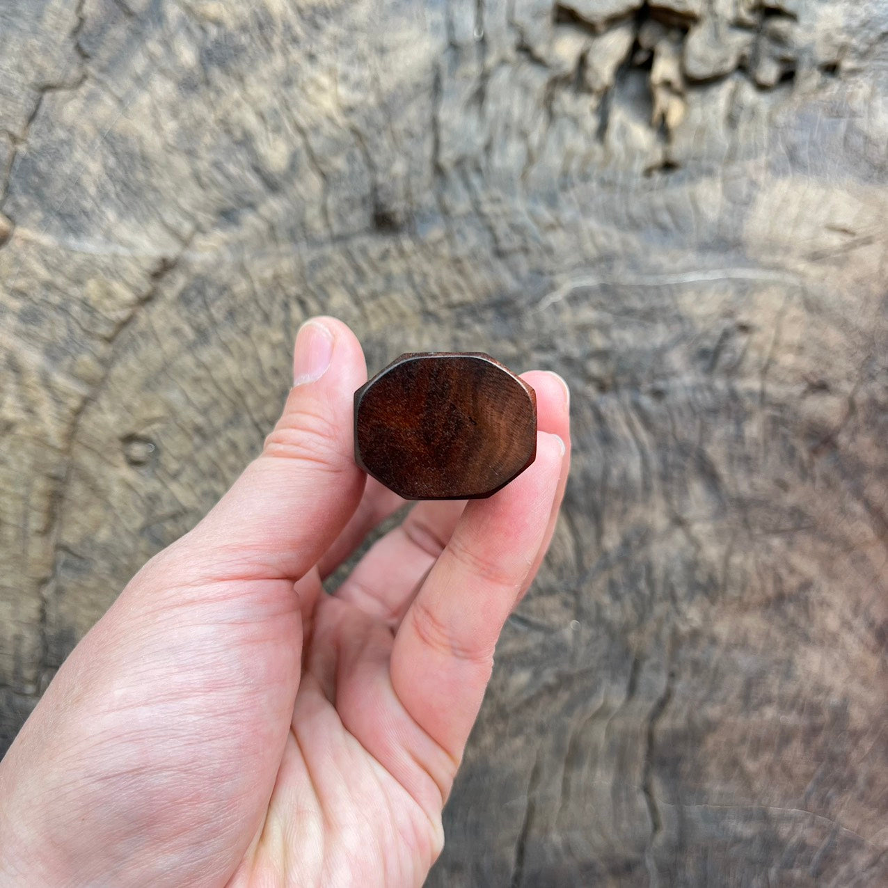 I - Dark burl Wa handle with marble horn - 145mm