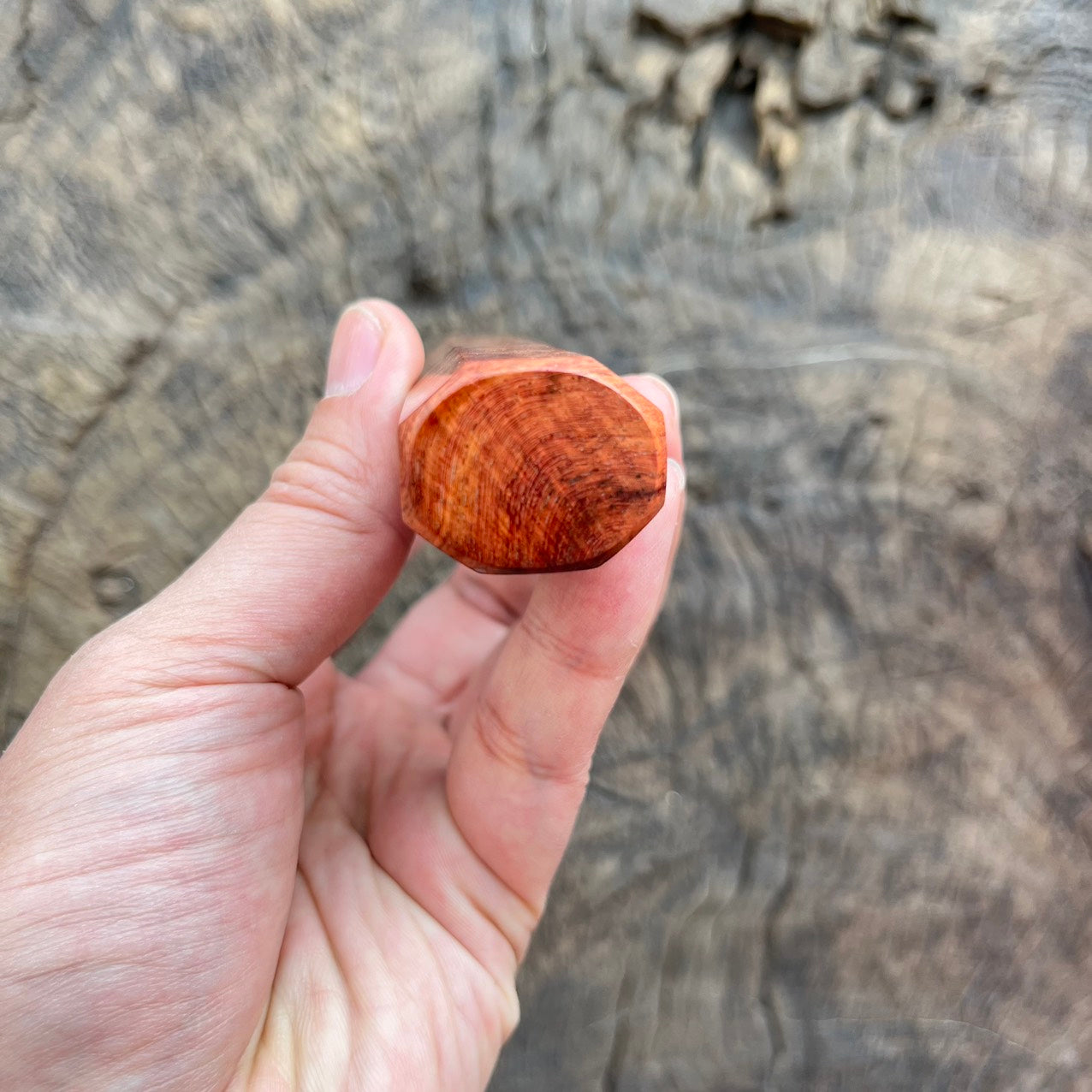 I - 3 Gold Amboyna Burl wa handle with Burl Rosewood ferrule - 140mm